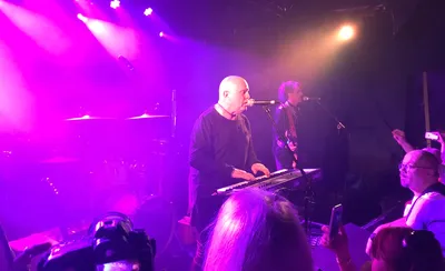 A Flock of Seagulls