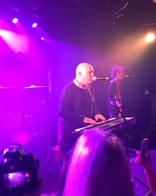 A Flock of Seagulls