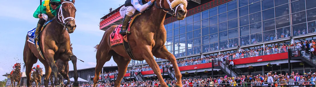 Black Eyed Susan Stakes