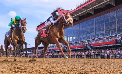 Black Eyed Susan Stakes