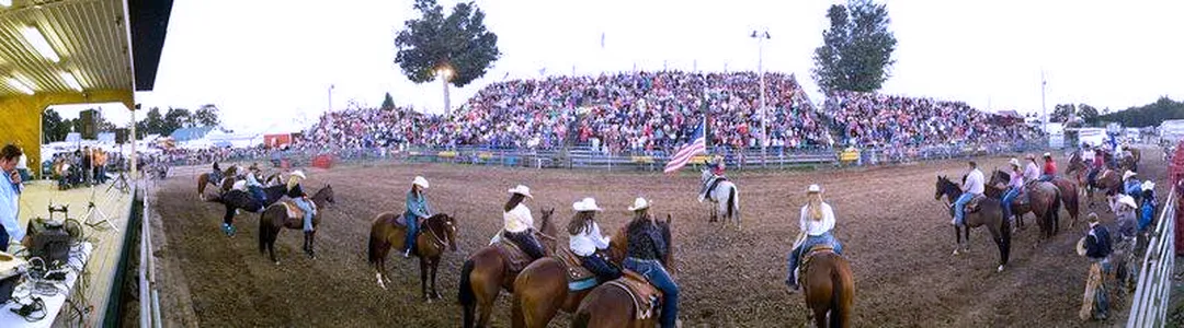 Bullride Mania