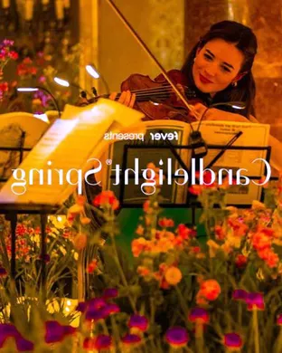 Candlelight: The Best of Joe Hisaishi