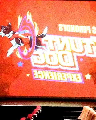 Chris Perondi's Stunt Dog Experience