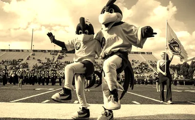 Delaware Blue Hens Football