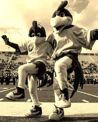 2026 Delaware Blue Hens Football Season Tickets (Includes Tickets To All Regular Season Home Games)