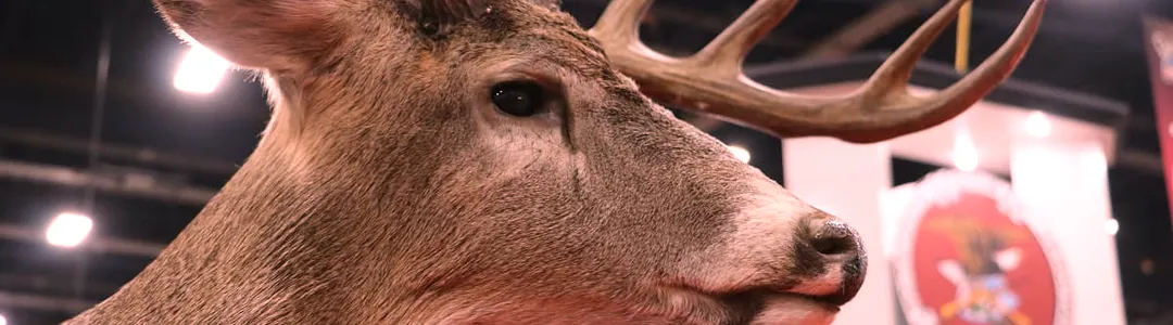 Great American Outdoor Show