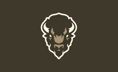 Howard Bison Football