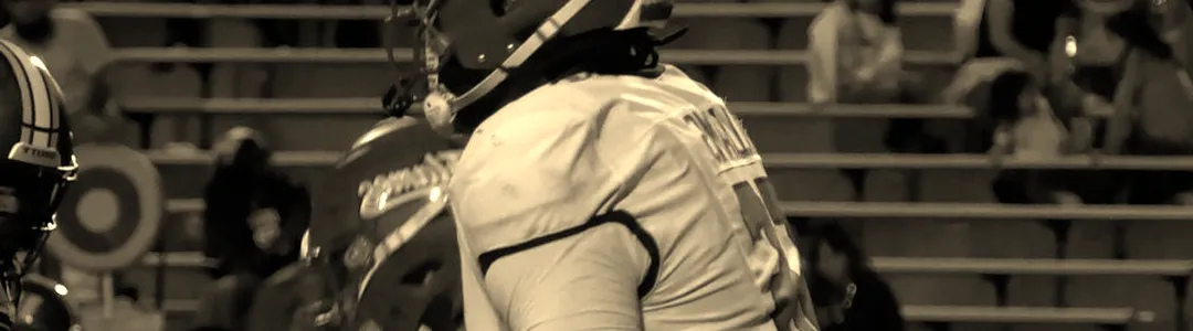 Liberty Flames Football