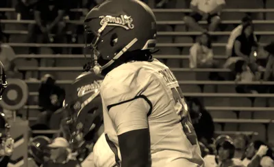Liberty Flames Football