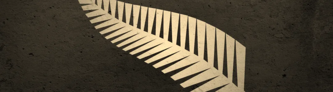 New Zealand All Blacks