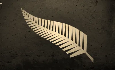 New Zealand All Blacks