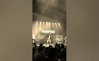 Parmalee