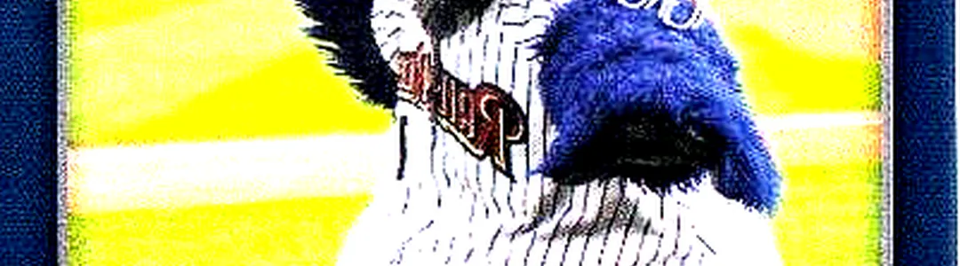 Scranton Wilkes-Barre RailRiders