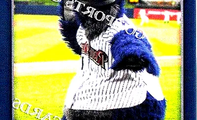 Scranton Wilkes-Barre RailRiders