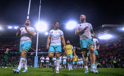 South Africa Springboks