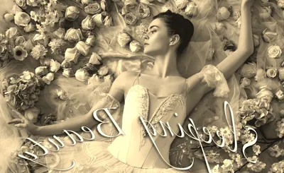 State Ballet Theatre of Ukraine