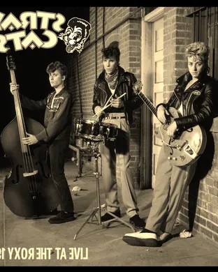 Stray Cats