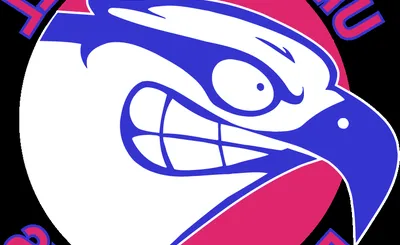 UMass Lowell River Hawks