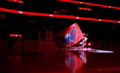 Washington Capitals