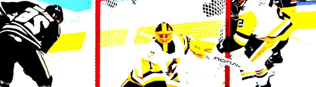 Wilkes-Barre Scranton Penguins