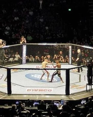 Total Cage Warfare
